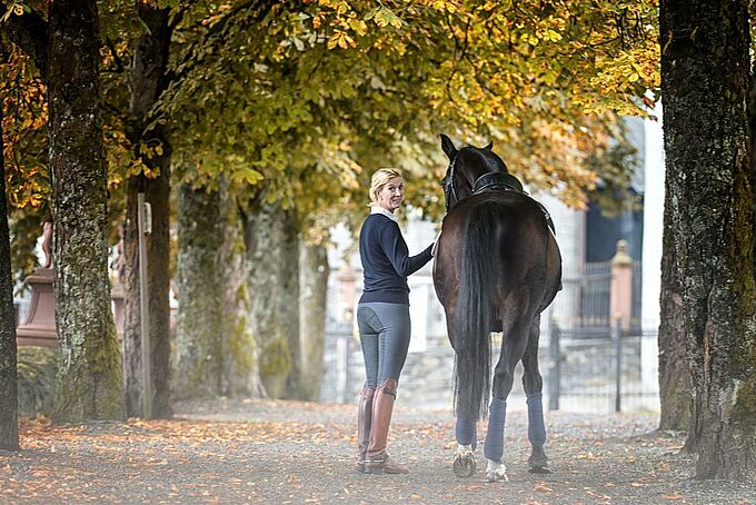 Advertising partnership Advertising partnership